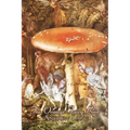 The Orange Fairy Book by Andrew Lang, Fiction, Fairy Tales, Folk Tales, Legends & Mythology