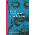 The 37 Practices of a Bodhisattva: Tokme Zangpo's classic 14th Century guide for travellers on the path to enlightenment