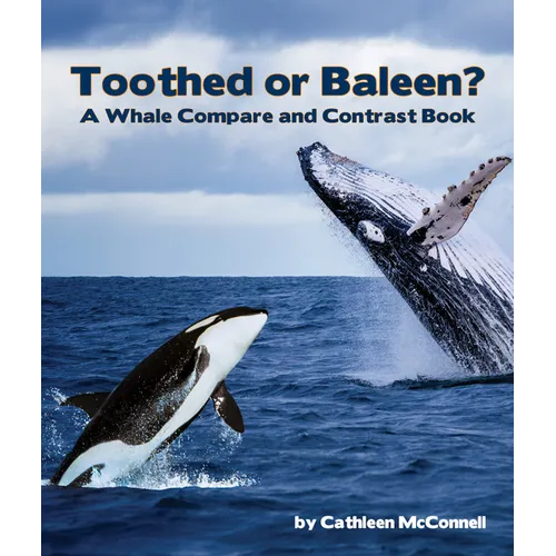 Toothed or Baleen? a Whale Compare and Contrast Book