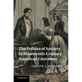 The Politics of Anxiety in Nineteenth-Century American Literature