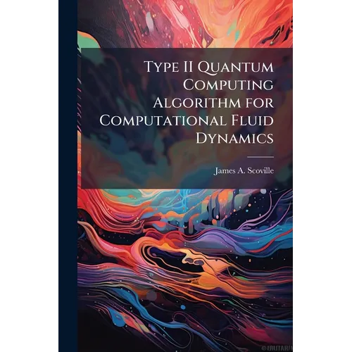 Type II Quantum Computing Algorithm for Computational Fluid Dynamics