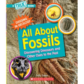 All about Fossils: Discovering Dinosaurs and Other Clues to the Past (a True Book: Digging in Geology)