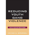 Reducing Youth Gang Violence: The Little Village Gang Project in Chicago