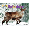 Reindeer