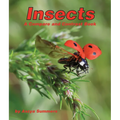 Insects: A Compare and Contrast Book