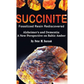 Succinite Fossilized Resin Rediscovered Alzheimer's and Dementia: A New Perspective on Baltic Amber