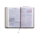 Santa Biblia de Promesas Reina Valera 1960 / Letra Gigante - 13 Puntos / Piel Especial Con Índice Y Cierre / Café // Spanish Promise Bible Rvr 1960 /