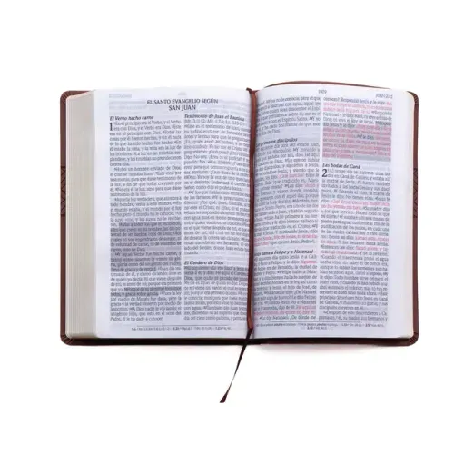 Santa Biblia de Promesas Reina Valera 1960 / Letra Gigante - 13 Puntos / Piel Especial Con Índice Y Cierre / Café // Spanish Promise Bible Rvr 1960 /