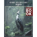 Rare Secretary Bird Photo Book: Stunning Visual Collection Showcasing Unique Secretary Bird Features And Habitats