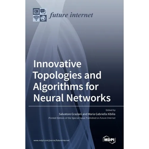 Innovative Topologies and Algorithms for Neural Networks