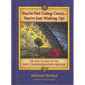 You're Not Going Crazy... You're Just Waking Up!: The Five Stages of the Soul Transformation Process