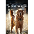 Golden Retrievers - Curious Kids Press: Kids book about animals and wildlife, Children's books 4-6