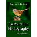 Beginners Guide To Backyard Bird Photography