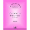 OperEnsemble12, Cavalleria Rusticana (P.Mascagni): Reduced Parts