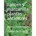llanten y manzanilla plantas antiestres: plantas medicinales