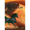 The Young Black Stallion