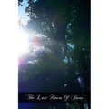 The Last Hours Of Jesus