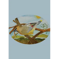 The Stone Soup Sketchbook (small): Sierra Glassman - Cedar Waxwing - unlined