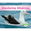 Wandering Albatross