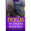 Pickles the Amazing Rescue Pony