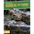 Burmese Pythons