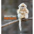 Unforgettable Portraits
