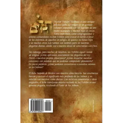 El Poder de los Salmos - Libro I - Salmos 1-41: Ideas e Inspiración Tomadas de las enseñanzas clásicas de Breslov Para enriquecer la Lectura de los Te