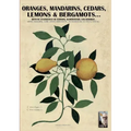 Oranges, mandarins, cedars, lemons & bergamots..: Artistic engravings of Ferrari, Aldrovrandi, Volckhamer...