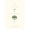 How Does Sanctification Work?