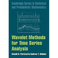Wavelet Methods for Time Series Analysis