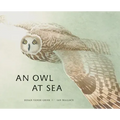 An Owl at Sea
