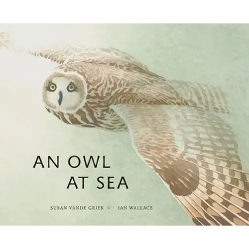 An Owl at Sea