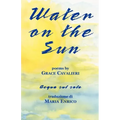 Water on the Sun