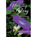 Morning Glory