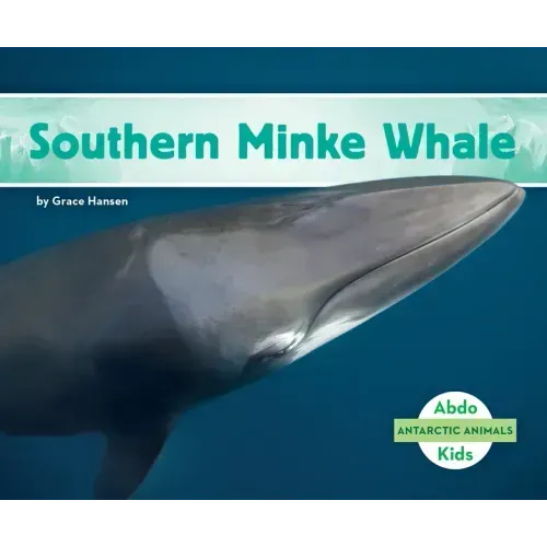 Southern Minke Whale