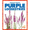 Purple Loosestrife