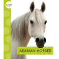 Arabian Horses