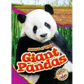 Giant Pandas