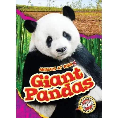 Giant Pandas