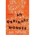 An Ordinary Wonder