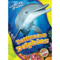 Bottlenose Dolphins