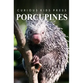 Porcupines - Curious Kids Press: Kids book about animals and wildlife, Children's books 4-6