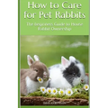 How to Care for Pet Rabbits: The beginners Guide to House Rabbit Ownership