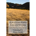 Amazing God Encounters: Amazing Stories of God's Intervention