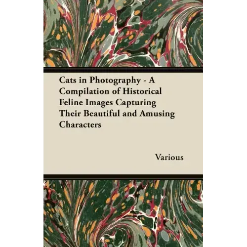 Cats in Photography - A Compilation of Historical Feline Images Capturing Their Beautiful and Amusing Characters