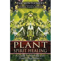 Plant Spirit Healing: A Guide to Working with Plant Consciousness