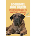 Boerboel Dog Breed: Interesting Infor Make You Want to Get a Boerboel: Boerboel Dog Breed Characteristics, Appearance, History