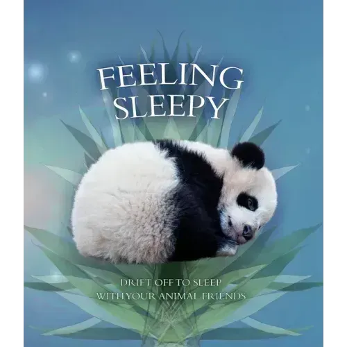 Feeling Sleepy: Drift Off to Sleep with Your Animal Friends
