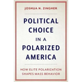 Political Choice in a Polarized America: How Elite Polarization Shapes Mass Behavior