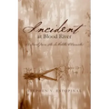 Incident at Blood River: A Novel from the deMelilla Chronicles
